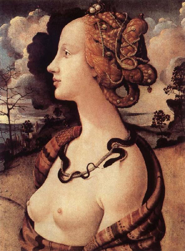Piero di Cosimo Portrat of Simonetta Vespucci oil painting picture